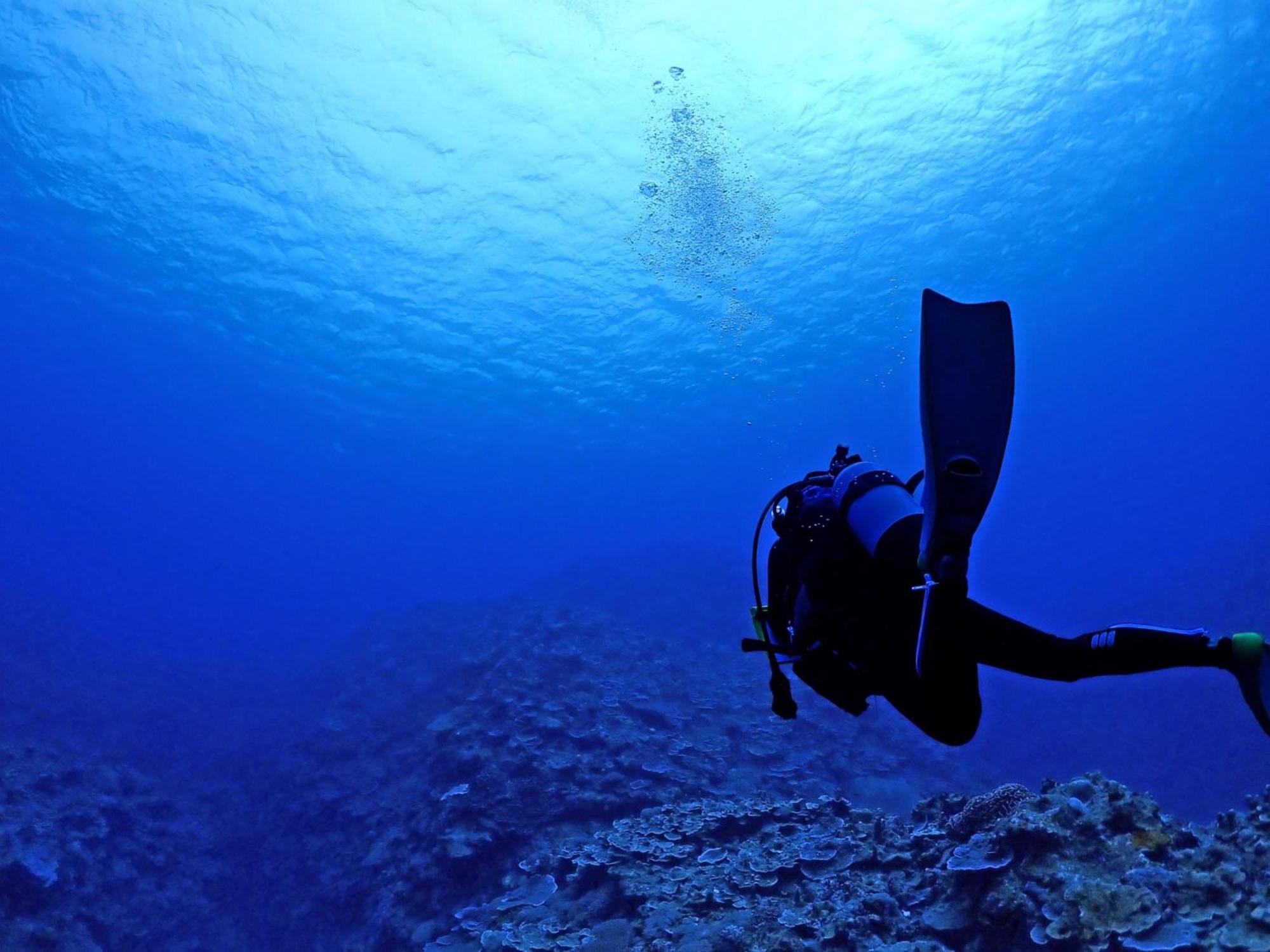 石垣島グループの宿 2216 にじいろ ユーグレナモール内 Ishigaki  Eksteriør billede