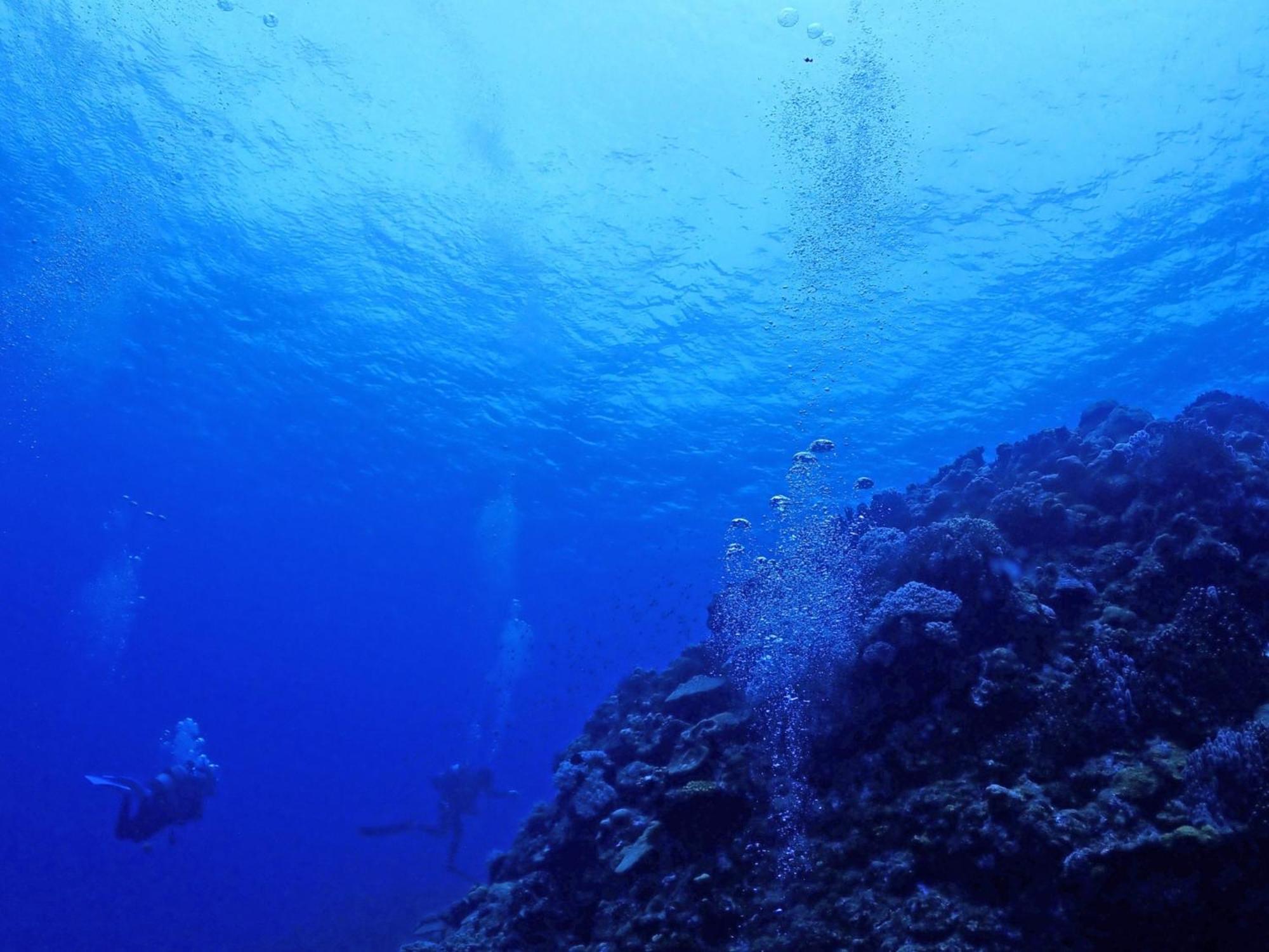 石垣島グループの宿 2216 にじいろ ユーグレナモール内 Ishigaki  Eksteriør billede
